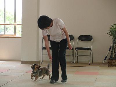 f0186040_2324015.jpg