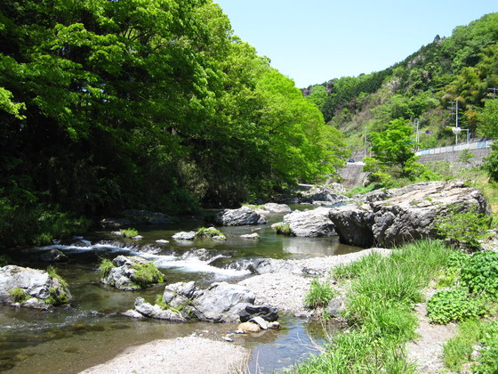 d0124543_17583589.jpg