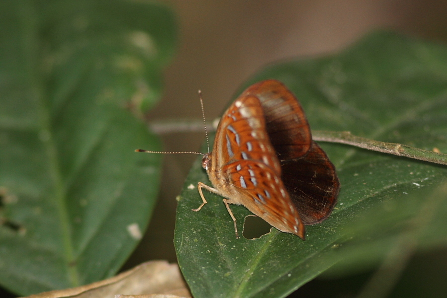 a0094850_1332485.jpg