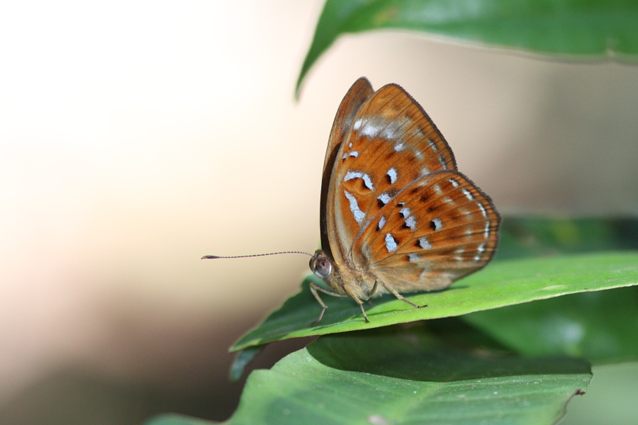 a0094850_133427.jpg
