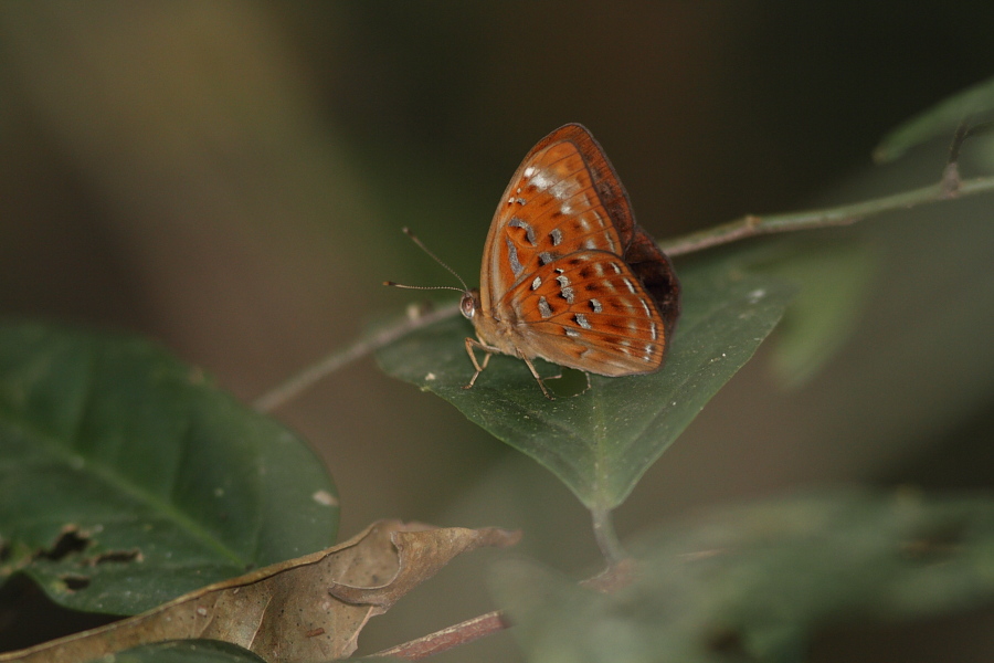 a0094850_133513.jpg