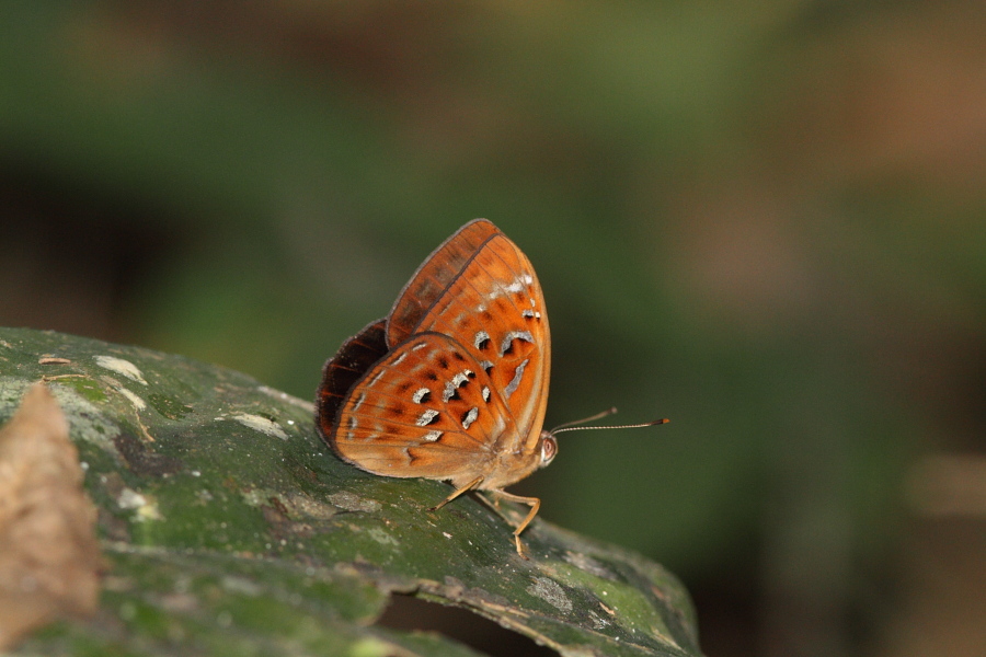 a0094850_1344751.jpg