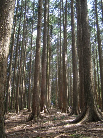 f0043750_2244770.jpg