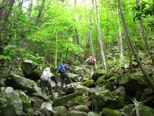 c0179351_22382161.jpg