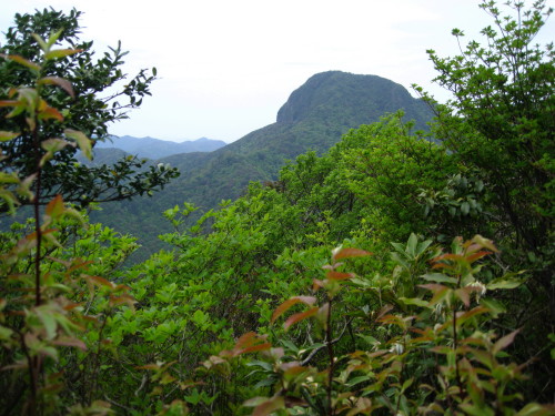 c0179351_22434033.jpg