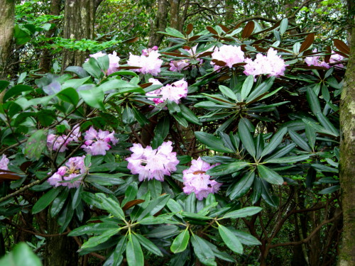 c0179351_22484137.jpg