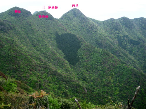 c0179351_22513544.jpg