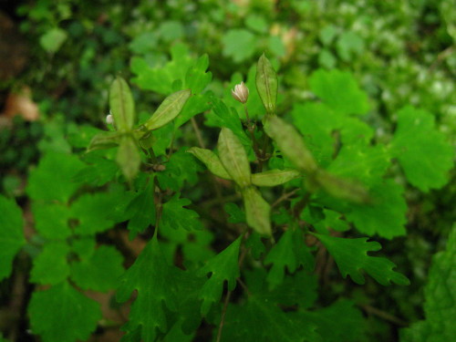 c0179351_22553451.jpg