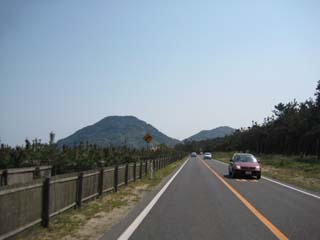 a0052952_1623223.jpg