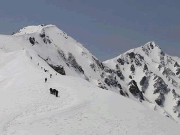 a0044453_8191226.gif