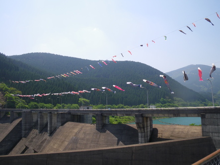 d0146153_18154316.jpg