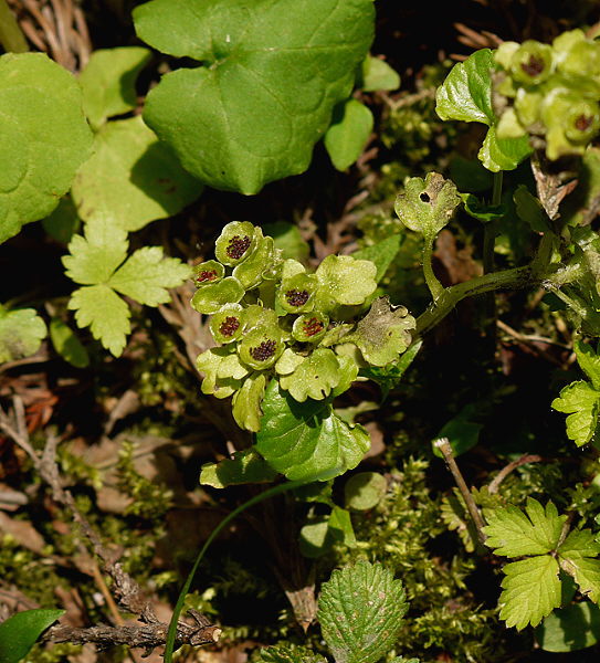 d0091754_0184287.jpg