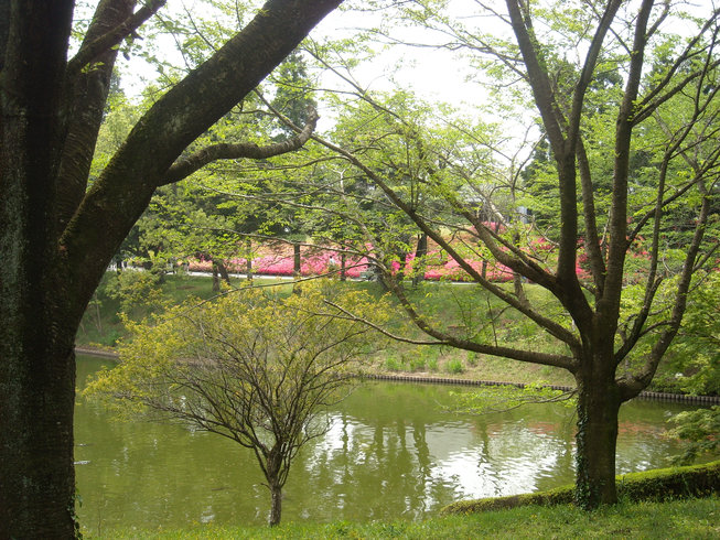 a0088456_1111086.jpg