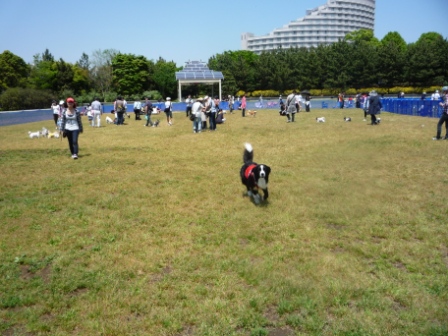 a0157156_04897.jpg