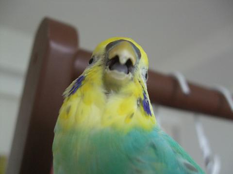 f0149057_13361152.jpg