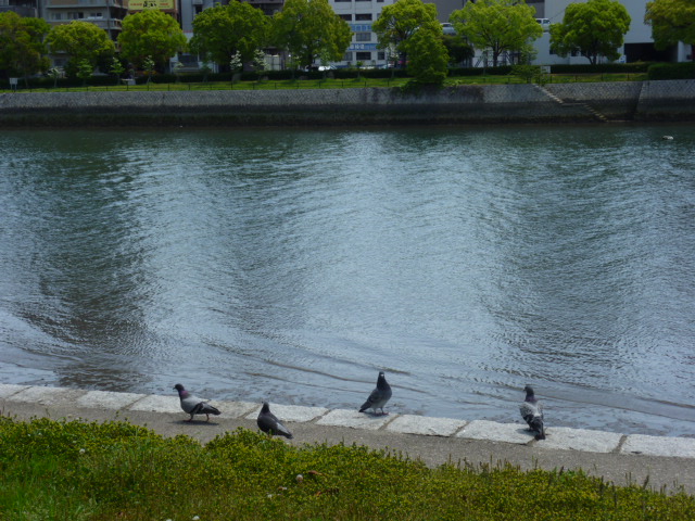 c0211464_17283673.jpg