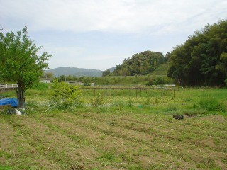 f0055264_21372651.jpg