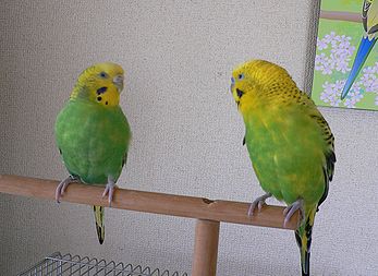 f0196665_2336079.jpg