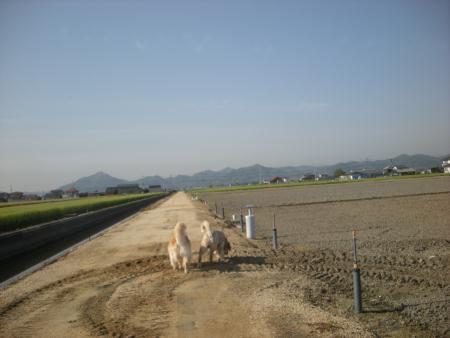 b0112568_21381725.jpg