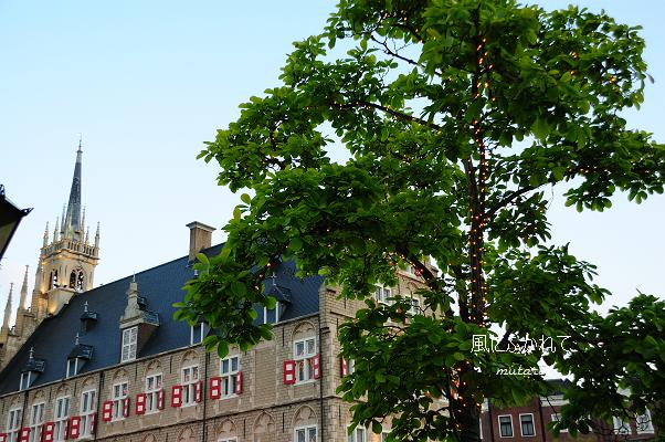 b0170969_1851568.jpg