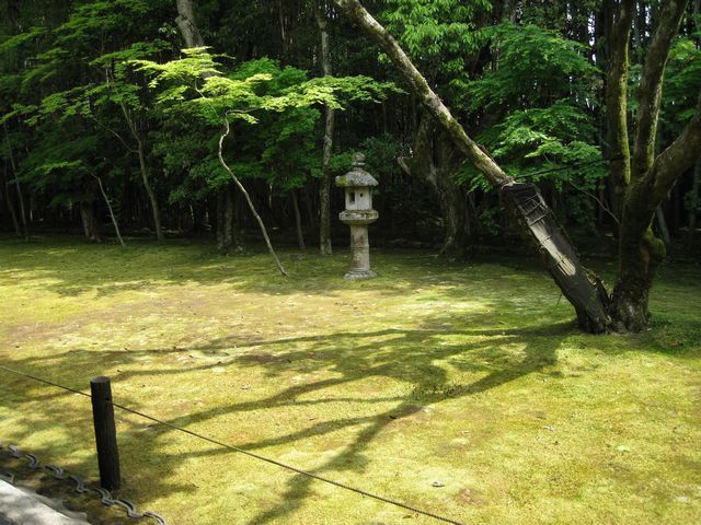 d0037669_11494238.jpg