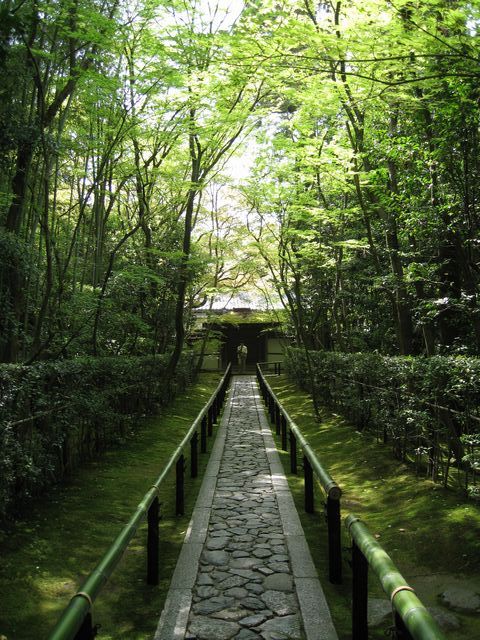 d0037669_11495313.jpg