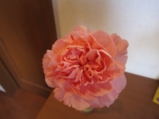 c0202870_1314975.jpg