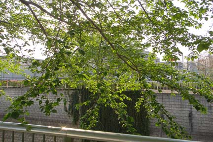 a0121671_13541382.jpg