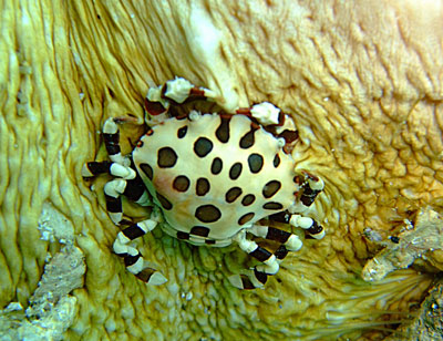 b0033573_17403990.jpg