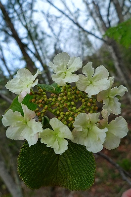 f0182173_2237414.jpg
