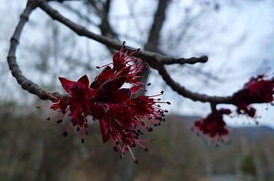 f0182173_22381831.jpg