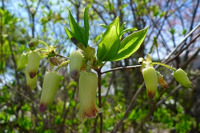 f0182173_22391647.jpg