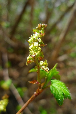 f0182173_22402744.jpg