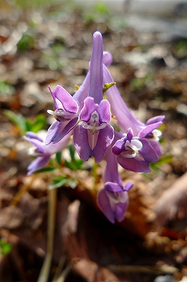 f0182173_2240450.jpg