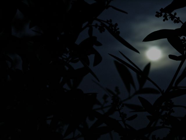 b0117875_2254681.jpg