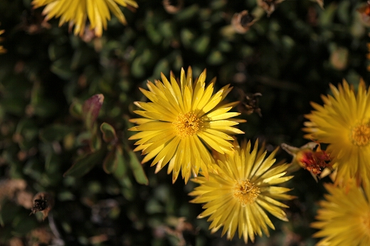 e0190885_15565590.jpg