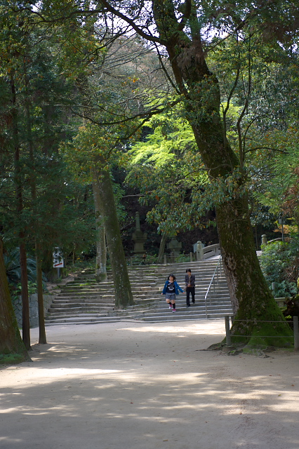 c0181187_2252265.jpg