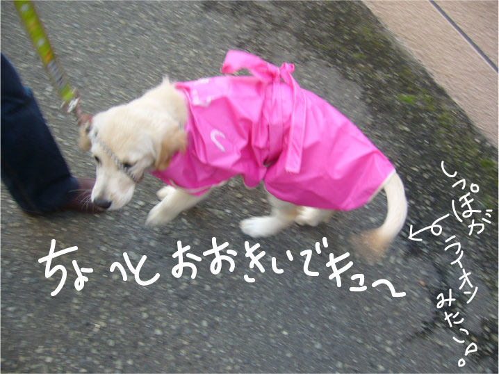 c0085188_212419.jpg