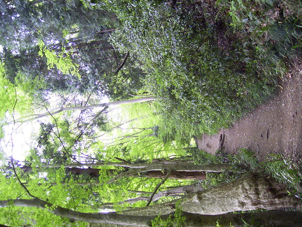 c0002390_22403483.jpg