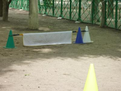 c0123890_2149734.jpg