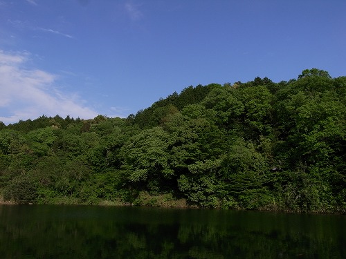 b0119493_2227735.jpg