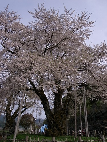 b0119493_8215475.jpg