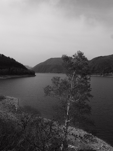 b0119493_8221338.jpg