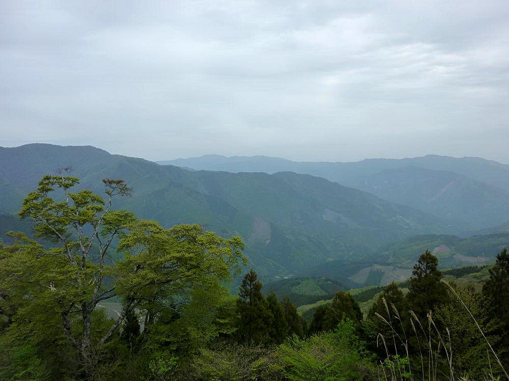 b0177493_2014943.jpg