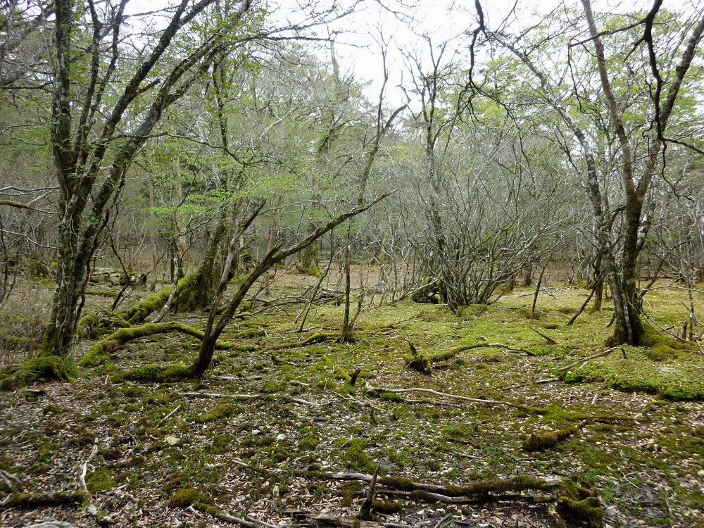 b0177493_20191461.jpg