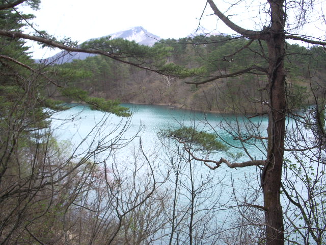 a0061594_2259072.jpg