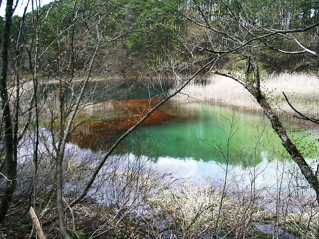a0061594_23252112.jpg