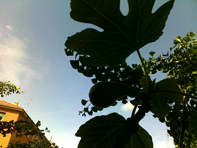 c0213694_1810530.jpg