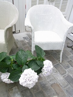 b0175400_16544151.jpg