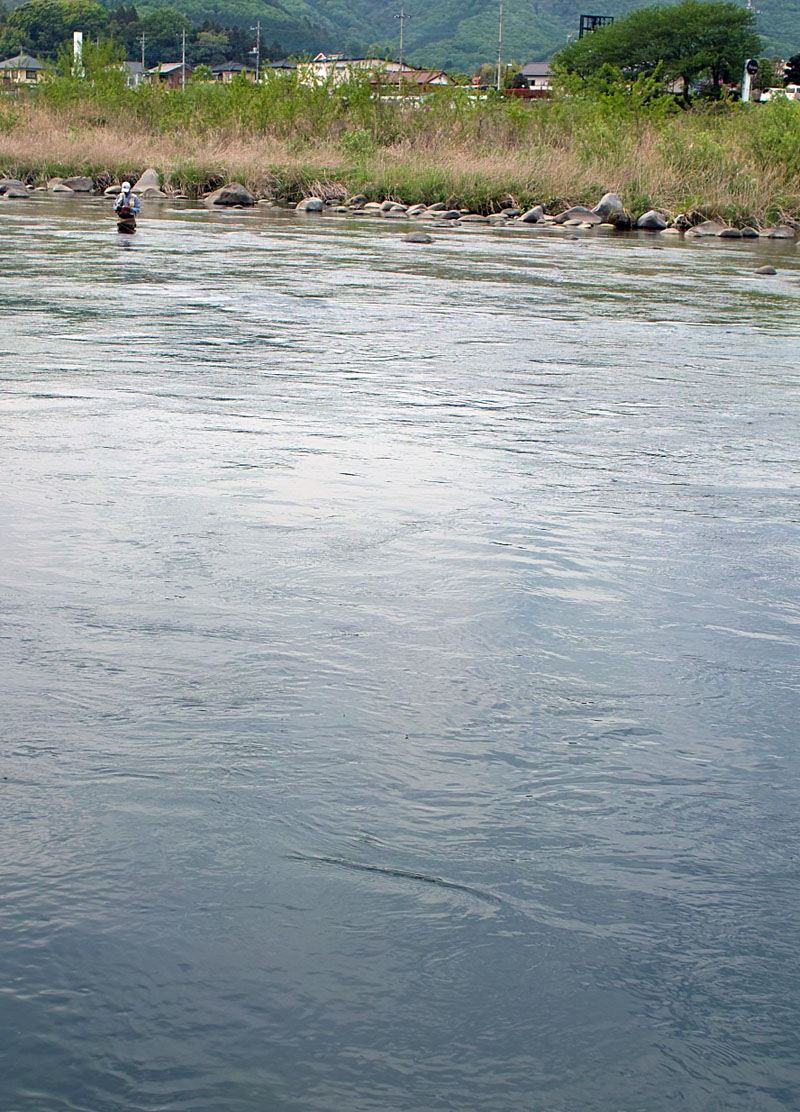 c0095801_8413392.jpg